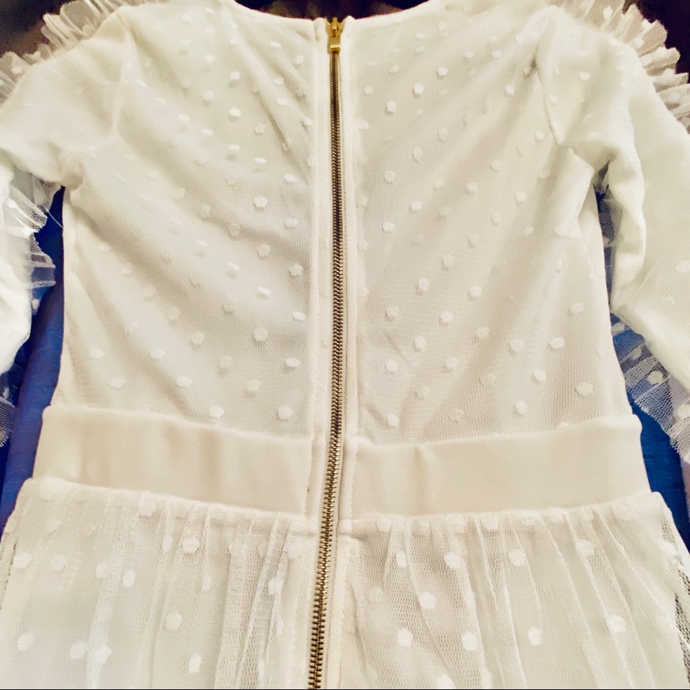 Issa Look Mesh/Lace Dress - Picture 7 of 8